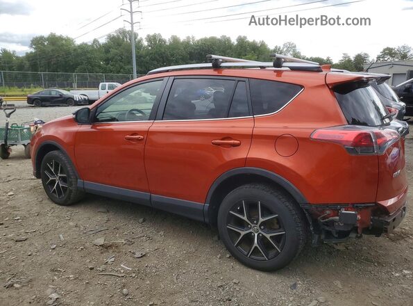 JTMJFREV0GJ079850 2016 TOYOTA RAV4 Оранжевый Задняя левая четверть