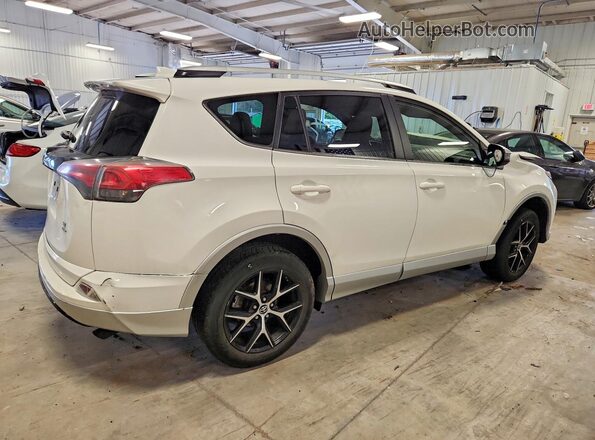 JTMJFREV1GJ066167 2016 TOYOTA RAV4 White Rear right