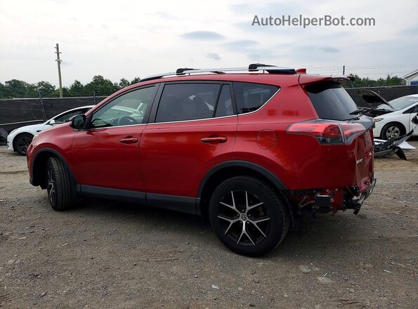 JTMJFREV6GJ073082 2016 TOYOTA RAV4 Red Tył lewy