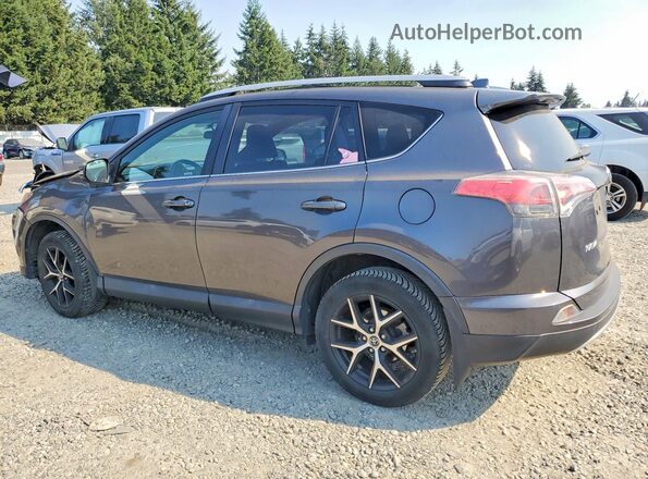JTMJFREV8GJ103246 2016 TOYOTA RAV4 Gray Rear left