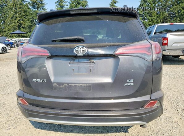 JTMJFREV8GJ103246 2016 TOYOTA RAV4 Gray Rear view