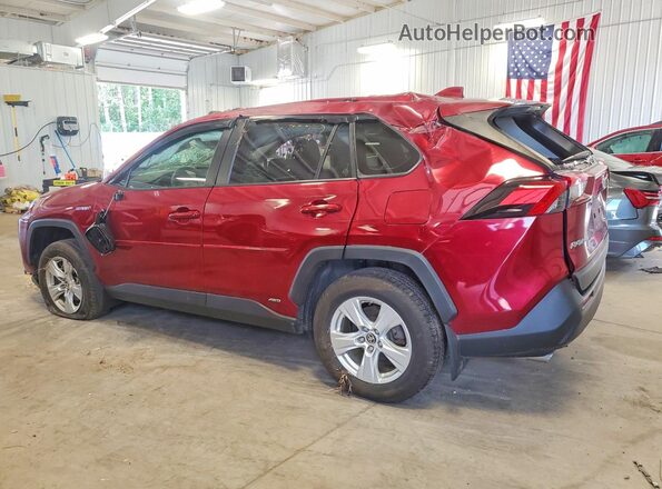 JTMLWRFV3KD040412 2019 TOYOTA RAV4 Red Հետևի ձախ