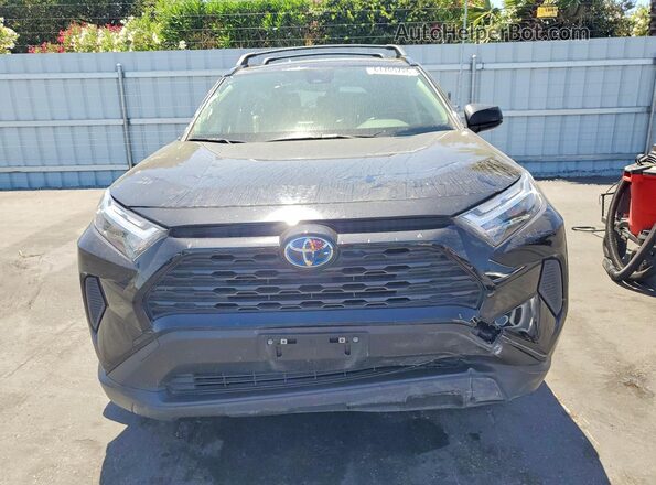 JTMLWRFV3RD256285 2024 TOYOTA RAV4 Черный Вид спереди