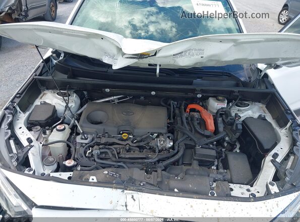 JTMLWRFVXPD206125 2023 TOYOTA RAV4 HYBRID Белый Вид сзади