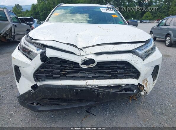 JTMLWRFVXPD206125 2023 TOYOTA RAV4 HYBRID Белый Вид задней части салона