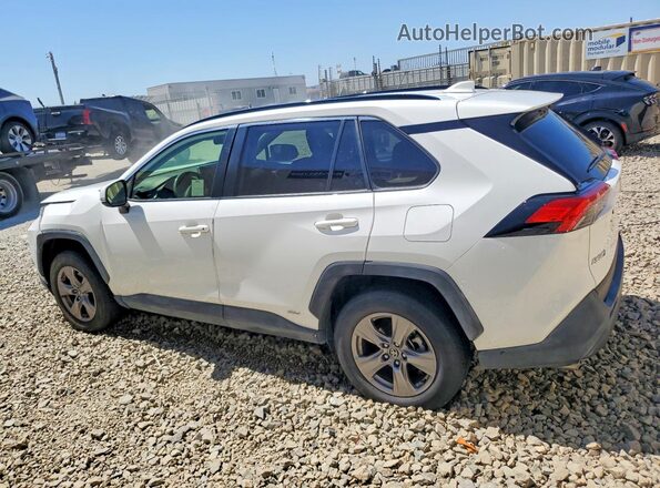 JTMMWRFV6RD244541 2024 TOYOTA RAV4 White უკანა მარცხენა