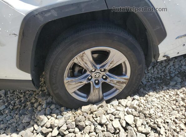 JTMMWRFV6RD244541 2024 TOYOTA RAV4 White 