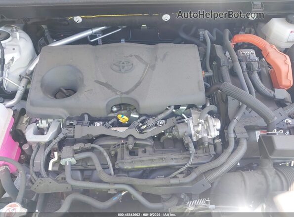 JTMMWRFV6SD294863 2025 TOYOTA RAV4 HYBRID Белый Вид сзади