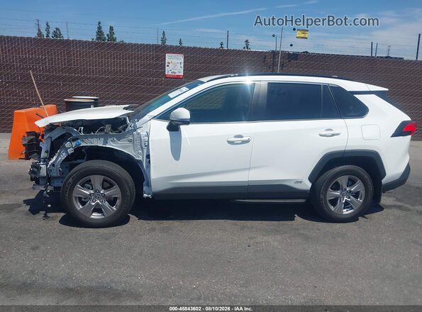 JTMMWRFV6SD294863 2025 TOYOTA RAV4 HYBRID Белый Панорамный вид салона 360°
