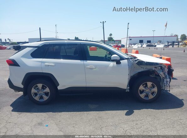 JTMMWRFV6SD294863 2025 TOYOTA RAV4 HYBRID Белый Вид задней части салона