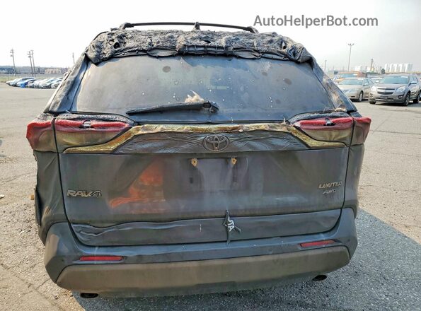 JTMN1RFV0LD058374 2020 TOYOTA RAV4 Burn Вид ззаду