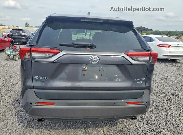 JTMN1RFV0LJ035887 2020 TOYOTA RAV4 Gray Vista interior trasera