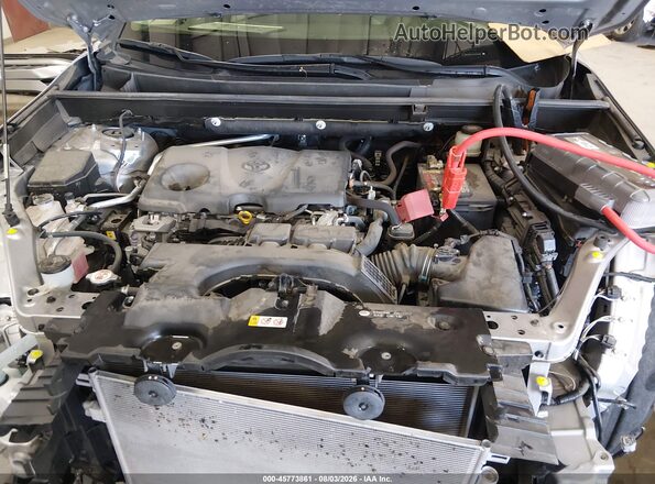JTMN1RFV1KD522481 2019 TOYOTA RAV4 Серый Вид сзади