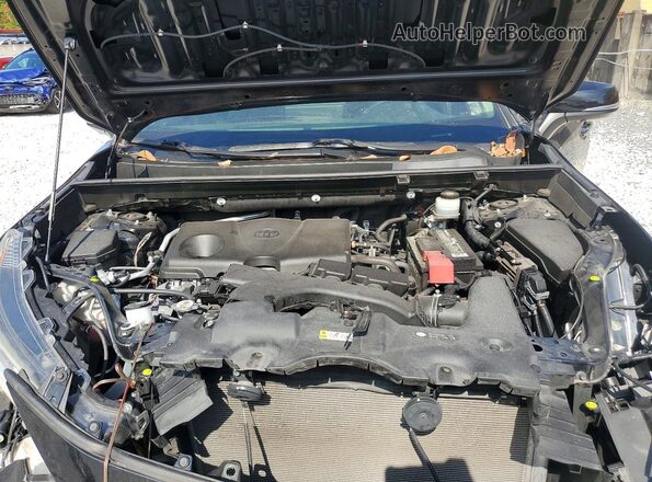 JTMN1RFV3KD514253 2019 TOYOTA RAV4 Black Սալոնի հետևի տեսք