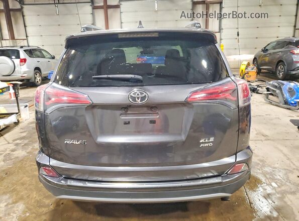 JTMRFREV0HJ113158 2017 TOYOTA RAV4 Gray უკანა ხედი