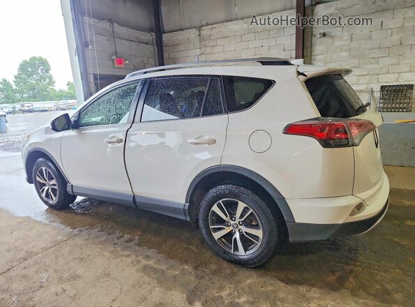 JTMRFREV1GJ063529 2016 TOYOTA RAV4 White Հետևի ձախ