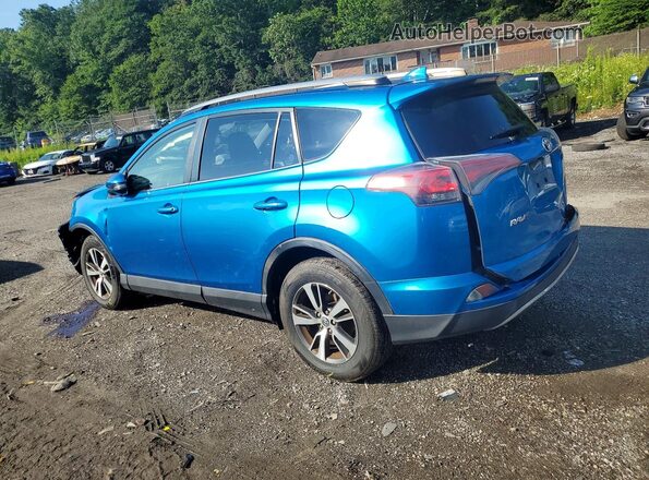 JTMRFREV1HJ111371 2017 TOYOTA RAV4 Синий Задняя левая четверть