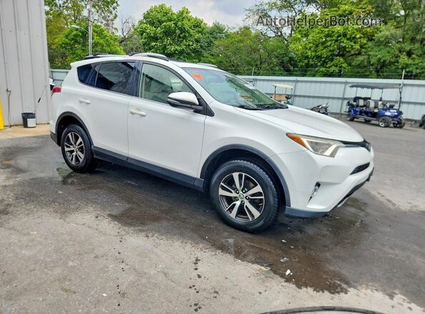 JTMRFREV1HJ702428 2017 TOYOTA RAV4 White Przód prawy