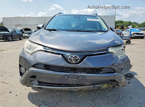 JTMRFREV4HJ136717 2017 TOYOTA RAV4 Gray Դիմացի տեսք