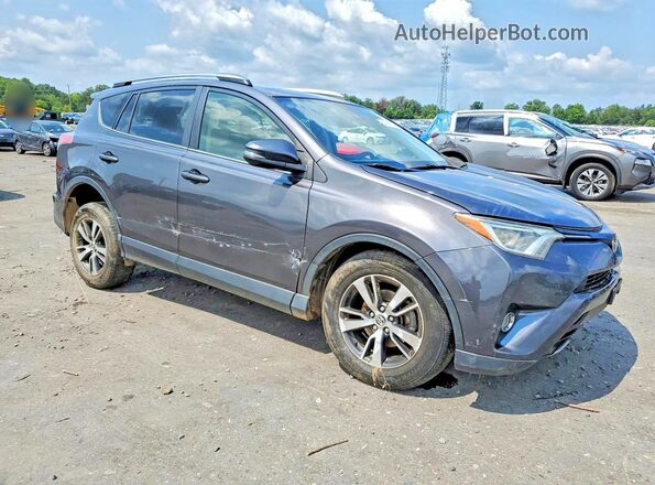 JTMRFREV4HJ136717 2017 TOYOTA RAV4 Gray Առջևի աջ