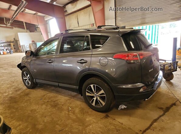 JTMRFREV4HJ706408 2017 TOYOTA RAV4 Серый Задняя левая четверть