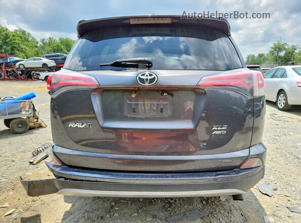 JTMRFREV4HJ716842 2017 TOYOTA RAV4 Серый Вид сзади