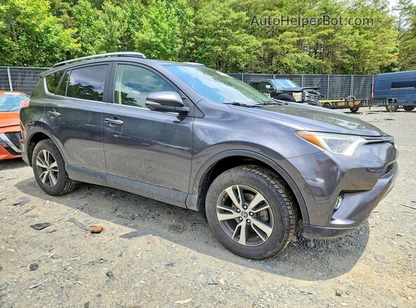 JTMRFREV4HJ716842 2017 TOYOTA RAV4 Серый Передняя правая четверть