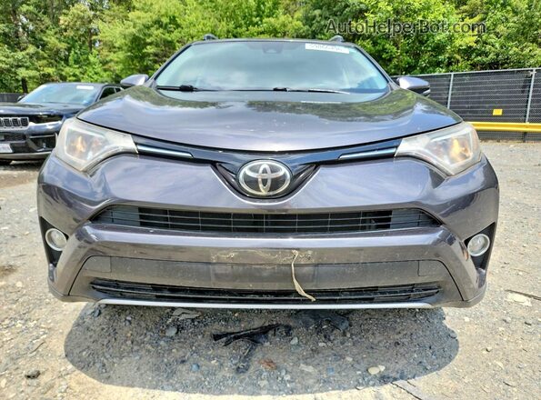 JTMRFREV4HJ716842 2017 TOYOTA RAV4 Серый Вид спереди