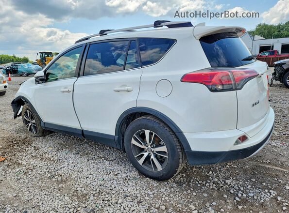 JTMRFREV5HJ113110 2017 TOYOTA RAV4 White Հետևի ձախ