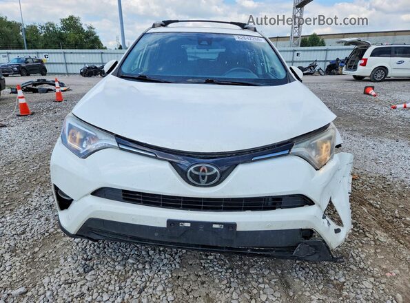 JTMRFREV5HJ113110 2017 TOYOTA RAV4 White Դիմացի տեսք
