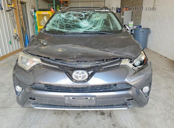 JTMRFREV8HD209327 2017 TOYOTA RAV4 Угольный Вид спереди
