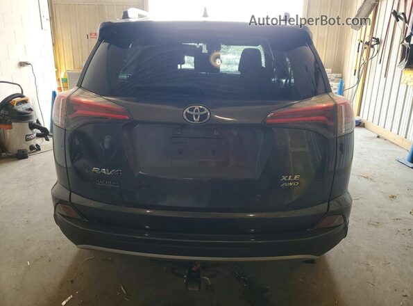 JTMRFREV8HD209327 2017 TOYOTA RAV4 Угольный Вид сзади