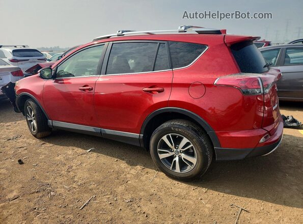 JTMRFREV9GJ086136 2016 TOYOTA RAV4 Red Trasero izquierdo