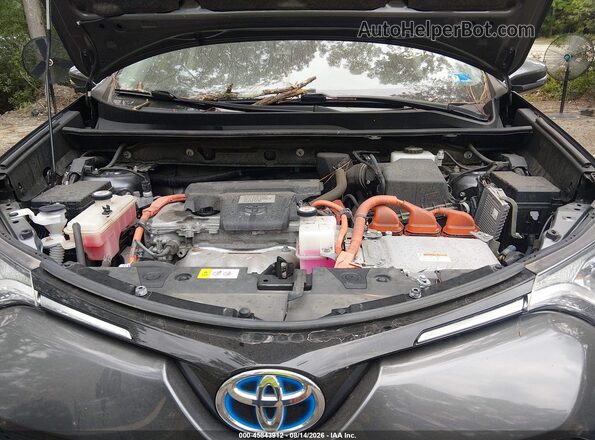 JTMRJREV1GD056965 2016 TOYOTA RAV4 HYBRID Gray Вид ззаду