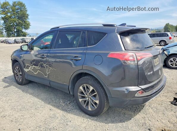 JTMRJREV2GD048888 2016 TOYOTA RAV4 Gray Rear left