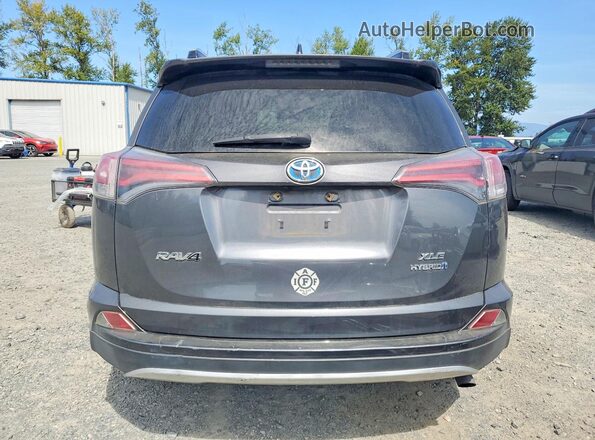JTMRJREV2GD048888 2016 TOYOTA RAV4 Gray Rear view