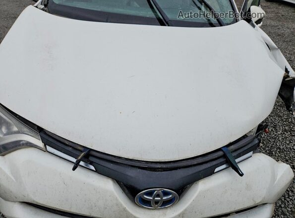 JTMRJREV2GD055078 2016 TOYOTA RAV4 White ძრავის განყოფილების ხედი