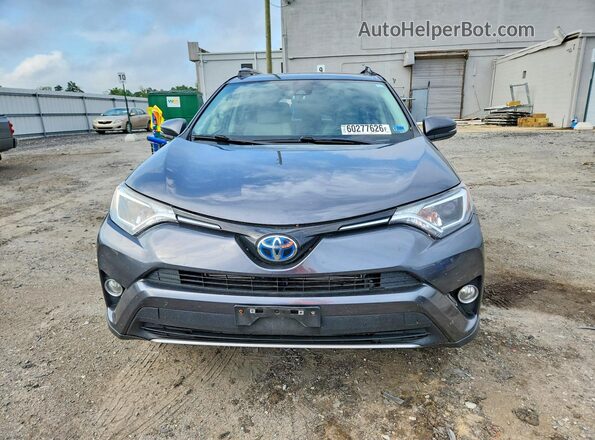 JTMRJREV4HD089752 2017 TOYOTA RAV4 Gray Դիմացի տեսք