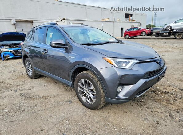 JTMRJREV4HD089752 2017 TOYOTA RAV4 Gray Առջևի աջ