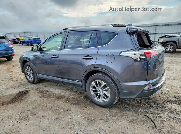JTMRJREV4HD089752 2017 TOYOTA RAV4 Gray Հետևի ձախ
