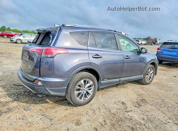 JTMRJREV4HD089752 2017 TOYOTA RAV4 Gray Հետևի աջ