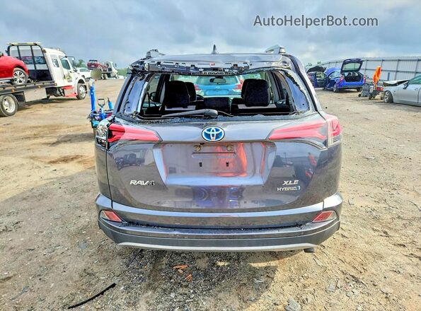 JTMRJREV4HD089752 2017 TOYOTA RAV4 Gray Հետևի տեսք