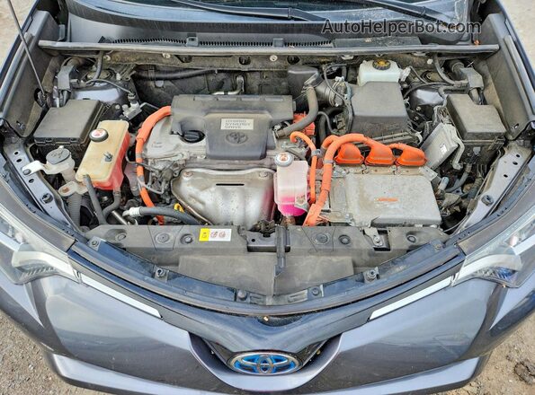 JTMRJREV4HD089752 2017 TOYOTA RAV4 Gray Շարժիչի բաժամունքի տեսք