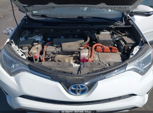 JTMRJREV7GD052760 2016 TOYOTA RAV4 HYBRID White Հետևի տեսք