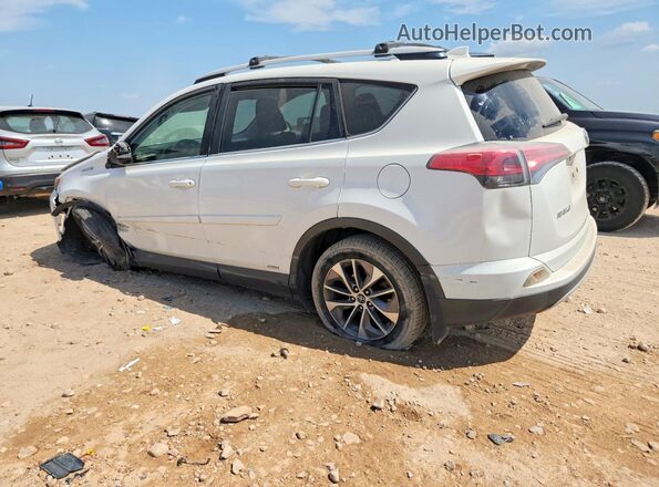 JTMRJREV8GD046191 2016 TOYOTA RAV4 White უკანა მარჯვენა
