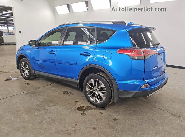 JTMRJREV8HD074509 2017 TOYOTA RAV4 Синий Задняя левая четверть