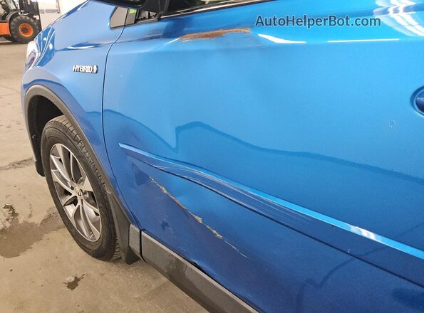 JTMRJREV8HD074509 2017 TOYOTA RAV4 Синий 