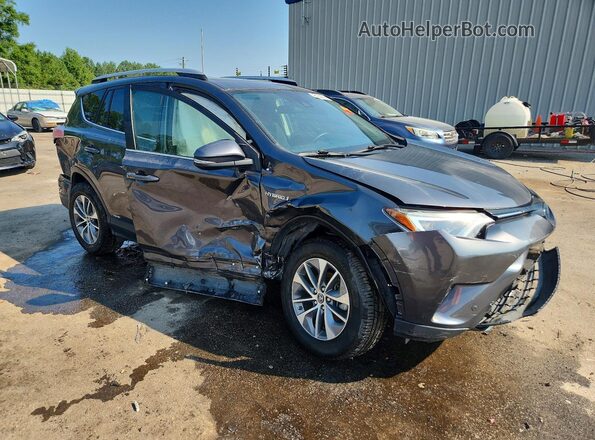 JTMRJREVXGD025715 2016 TOYOTA RAV4 Gray Delantero derecho