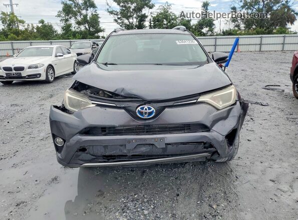 JTMRJREVXGD026248 2016 TOYOTA RAV4 Серый Вид спереди