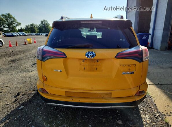 JTMRJREVXHD073426 2017 TOYOTA RAV4 Yellow უკანა ხედი
